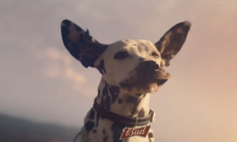 Bud bier reclame hernieuwbare energie